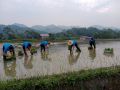 Trường mầm non Liên Hiệp phối hợp cùng với Công đoàn trường trong việc xây dựng trường chuẩn Quốc gia