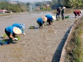 Phát huy vai trò Công đoàn chăm lo giúp đỡ người lao động
